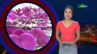 Dùng SÚNG Bắn CHẾT Nữ Sinh Rồi Vào Rẫy TỰ SÁT | Tâm Điểm 365 | Lâm Đồng TV