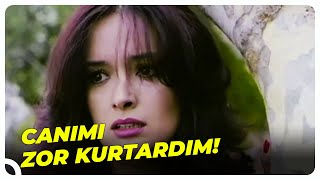 Murat, Ormanda Nalana Saldırdı Göl