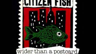 Watch Citizen Fish Traffic Lights video