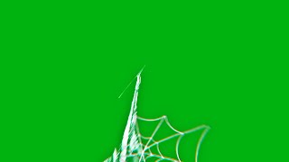 Green Screen Spider-Man Web Effects [TikTok Trend]