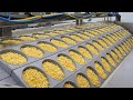 Amazing Ramen Manufacturing Process at Korean Instant Noodle Factory