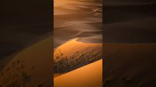 Desert