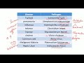complete gs||RRB ALP and Tech 2018| life science-Part 1