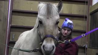 Helping Hooves