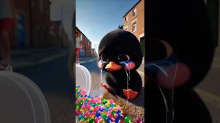 Black Ducks Bright Water Sprites Burst Open Friendly Hands Rushed To Help