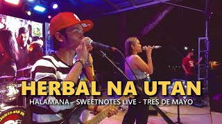 HERBAL NA UTAN - Halamana | Sweetnotes Live @ Sulop