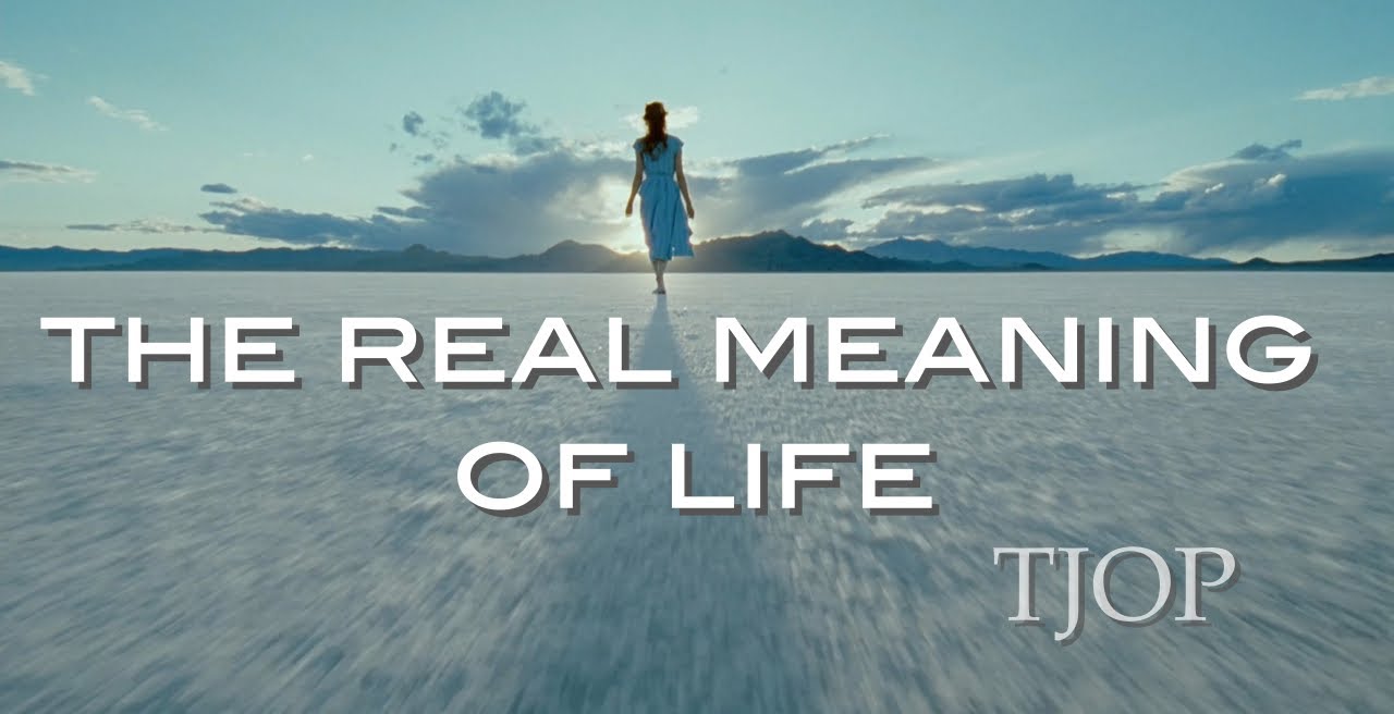 The Real Meaning of Life - YouTube