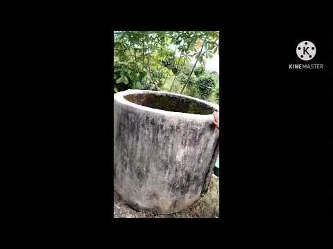 Gunung Tugel Cek Lokasi #babehberto #gunungtugel #creatoryoutube #creatormisteri