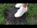Reebok Freestyle