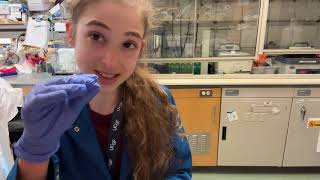 Practical advice for increasing your PCR product yield