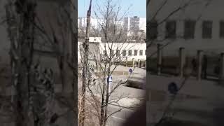 Чеченцы В Энергодаре, Городе-Спутнике Запорожской Аэс, 13 Марта 2022 Г.