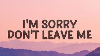 [1 HOUR 🕐] SLANDER - I'm sorry don't leave me Love Is Gone (Lyrics) ft Dylan Mat