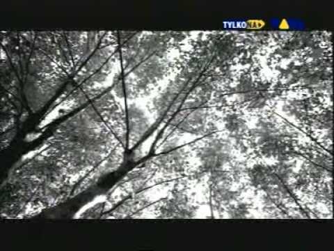 EVANESCENCE-=- My Immortal