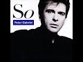 In Your Eyes - Peter Gabriel