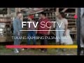 FTV SCTV - Tukang Kambing Pujaan Hati
