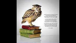Every Page By Kenny Tan