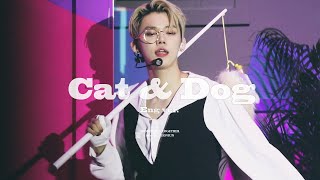 220306 MOA X TOGETHER - Cat & Dog (Eng ver.) TXT YEONJUN 캣앤독 연준 직캠