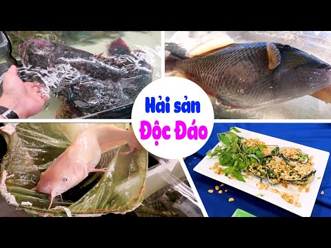 Khám phá các món ngon tại Nhà Hàng Hải Sản 187 Tân Sơn Nhì | Saigon Travel