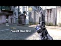 Project Blue Bird