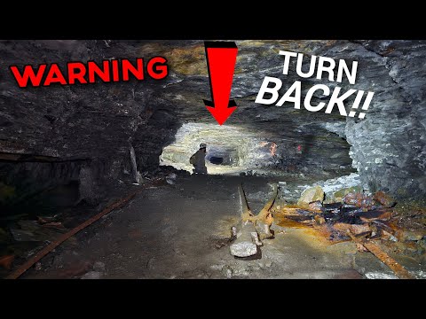 Underground ENTRANCE in the Woods GOES 1000s of Feet with NO END in Sight Underground ENTRANCE in the Woods GOES 1000s of Feet with NO END in Sight