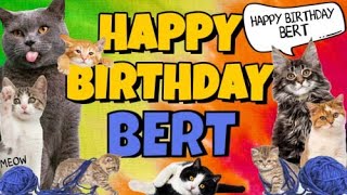 Happy Birthday Bert Crazy Cats Say Happy Birthday Bert Very Funny