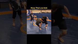 Low Kick Technique. #Kickboxing #Lowkick #Fighter #Mma #Training #Бокс #Кикбоксинг