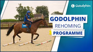 Godolphin Rehoming Programme