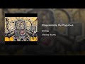 Programming The Populous Video preview