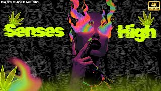 Senses High Bhang Music Series Inspired By , Yo Yo Honey Singh And Neha Kakkar