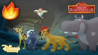 Büyük Yangın Aslan Koruyucular Disney Channel Türkiye
