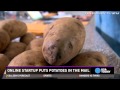 Man makes $10K a month sending potatoes in the mail