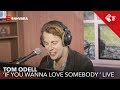 Tom Odell 'If You Wanna Love Somebody' Live @Jan Willem Start Op! Tom Odell 'If You Wanna Love Somebody' Live @Jan Willem Start Op!