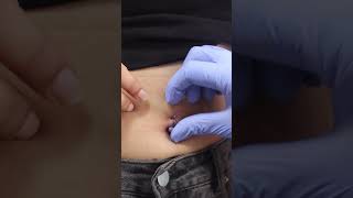 Belly Piercing Best Piercing Shop In Jaipur Xpose Tattoos Jaipur