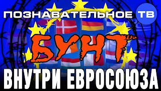 Бунт внутри Евросоюза (Познавательное ТВ, Евгений Фёдоров)