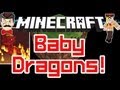 Minecraft RED BABY DRAGON ! Mystic Fire Water & Earth Dragons Mod !