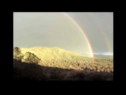 Double Rainbow Guy