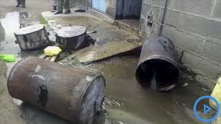 Nakuru police confiscate Kangara and Chang'aa in illicit brew crackdown