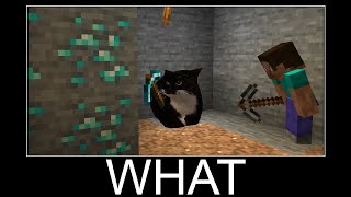 Maxwell the Cat in Minecraft wait what meme part 132