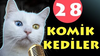 Konuşan Kediler 28 - Komik Kediler - En Komik Kedi Videoları Pisi Komedi Tv