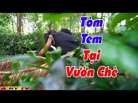 ĐI BÁN KEM TÒM TEM CÔ CHỦ - Phim Hài 2021 A Hy Mới Nhất - Hài A Hy Hay Cười Vỡ Bụng 2021