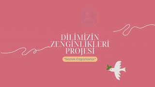 Dilimizin Zenginlikleri Projesi Sözlük Özgürlüktür