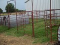 boergoat farming
