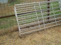 boergoat farming