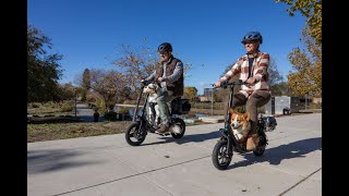 Gyroor Electric Scooters With Large Middle Basket Foldable For Pets & Cargo