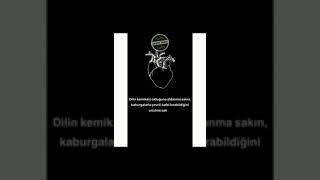 Kalbim Yaralı.. Whatsapp Duygusal Durum Video.. En Acıklı Aşk Şarkısı..