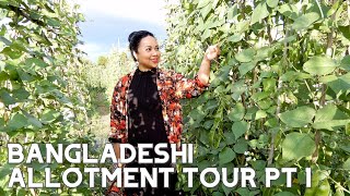 BANGLADESHI ALLOTMENT TOUR & VEGETABLE HARVEST ~ PART 1 #Bangladeshi #BangladeshiGarden