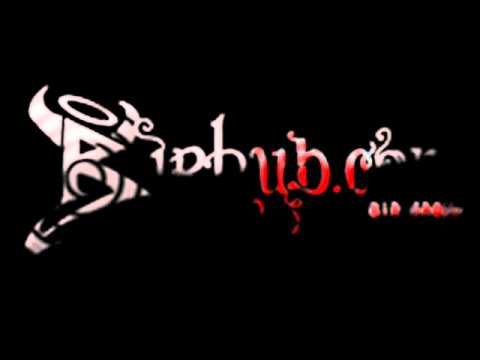 DJ REMIX NAGIN BEAT(www.birhub.com) .wmv