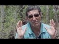 Galápagos Islands: breaking point