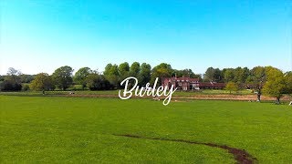 Burley