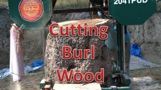 Cutting Mive Burl On The Mill
